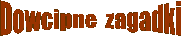 Dowcipne  zagadki