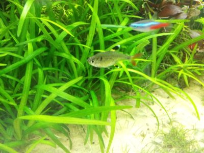 20140615_172156.jpg