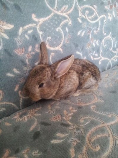 20150407_090540.jpg