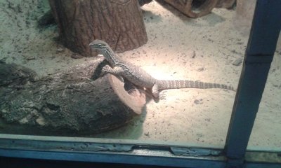 20160602_154312.jpg