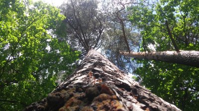 20160618_095719.jpg