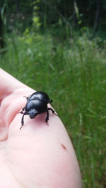 20160618_100021.jpg