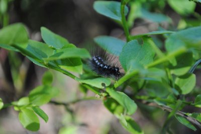 DSC_0834.JPG