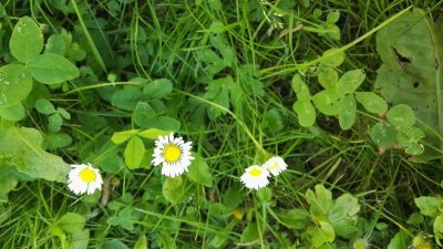 IMG_20160618_093029.jpg