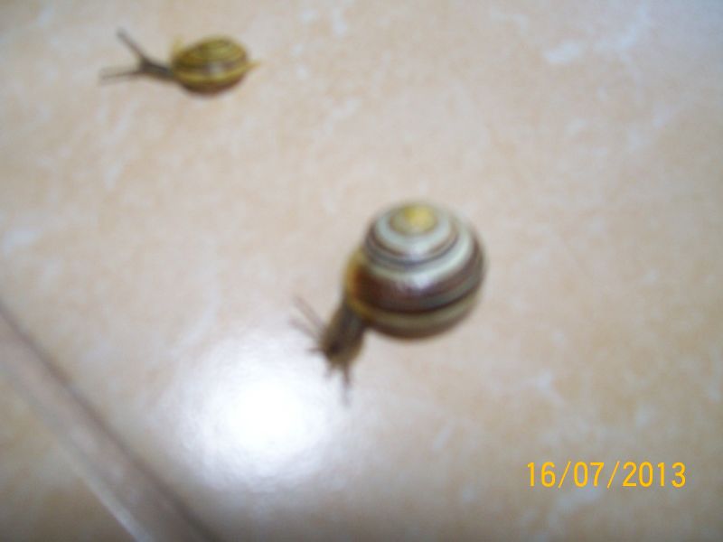 j 034.jpg